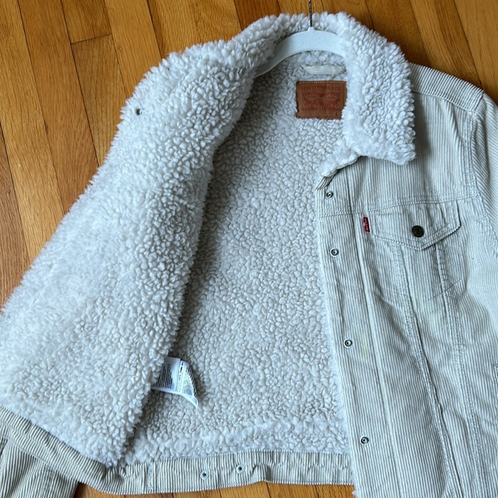Levi Corduroy Trucker Jacket - Picture 5 of 5